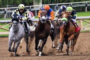 よく当たる地方競馬予想アイキャッチ