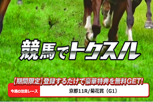 競馬予想サイトトクスルを検証した結果を紹介します