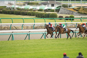 新馬戦　アイキャッチ