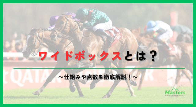 ワイドボックス見出し2画像1
