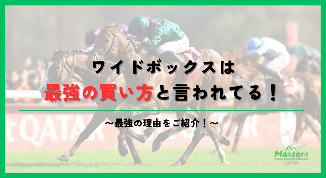 ワイドボックス見出し2画像2