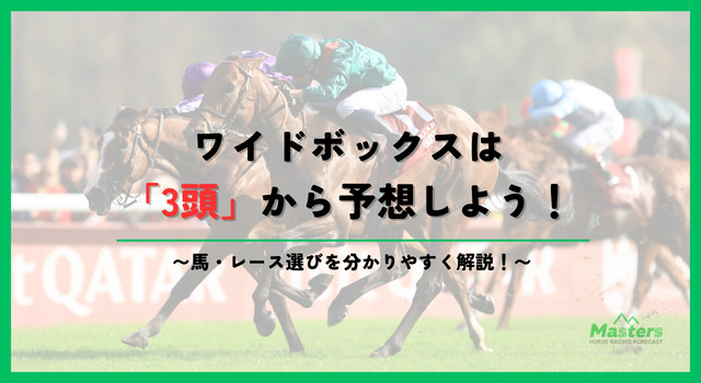 ワイドボックス見出し2画像3