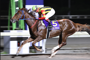 地方から中央を制した馬