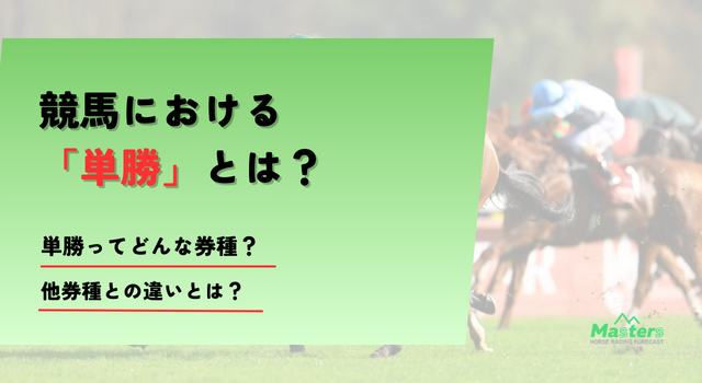 単勝トップ画像
