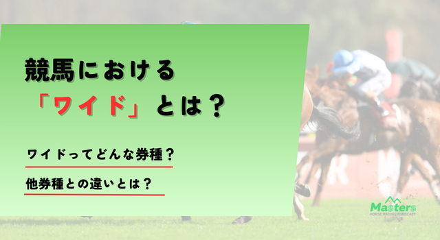 ワイドトップ画像