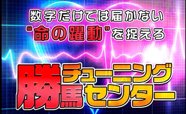 勝馬チューニングセンター