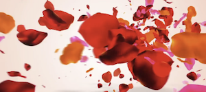 アークシンフォニアのプラン画像