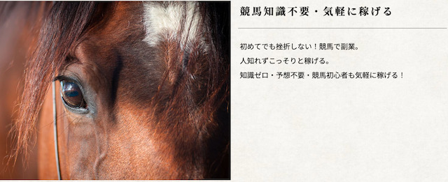 横綱ダービー特徴画像