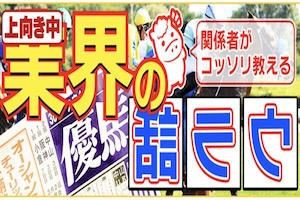 ラクショープラス_有料プラン画像5