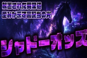 THE 裏モノ競馬_有料プラン2