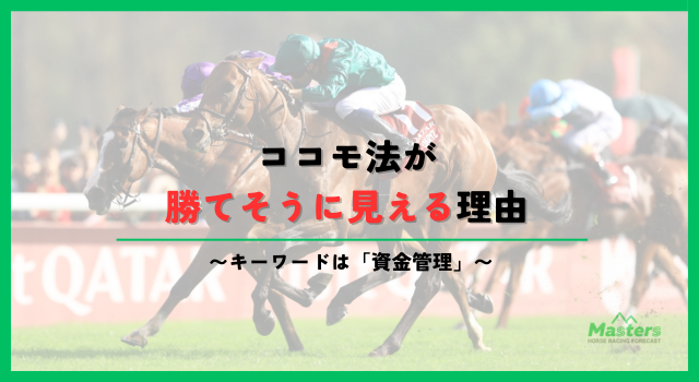 ココモ法_h2画像3