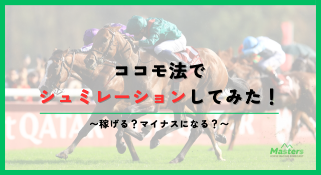 ココモ法_h2画像4