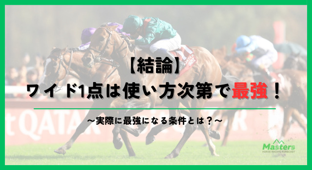 ワイド1点h2画像2