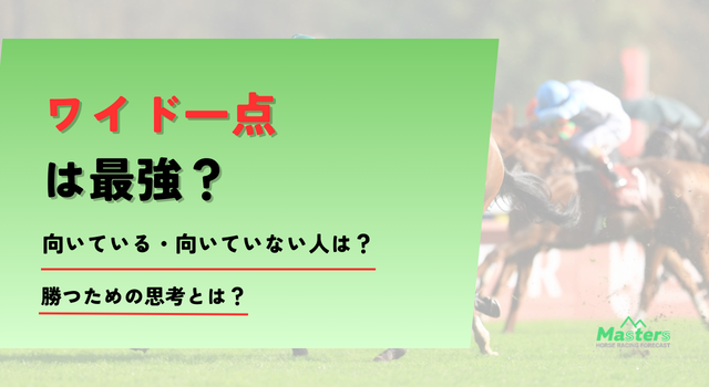 ワイド1点トップ画像