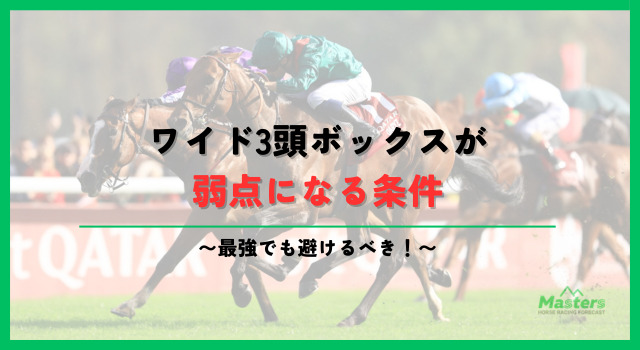 ワイドボックスh2画像3