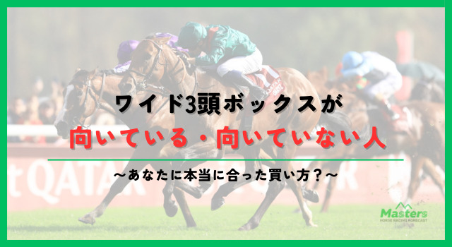 ワイドボックスh2画像4