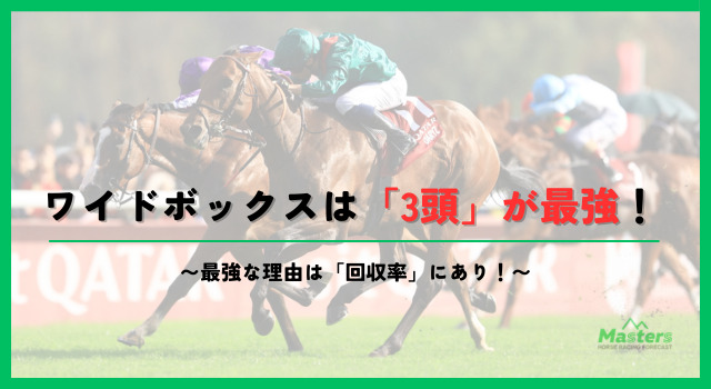 ワイドボックスh2画像5