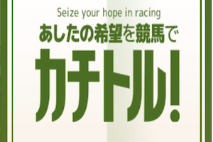 カチトル300×200画像