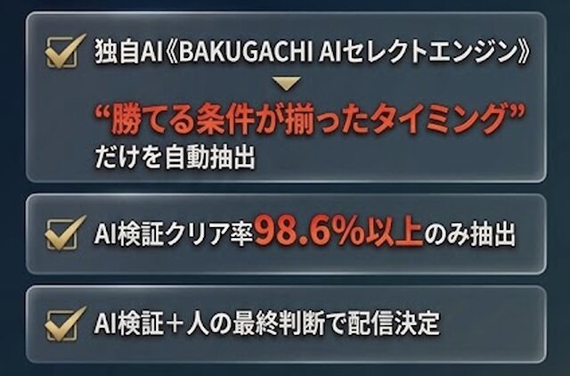 バクガチ_サイト特徴画像
