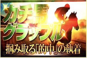 カチトル有料予想プラン1