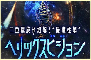 カチトル有料予想プラン6