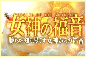 カチトル有料予想プラン2
