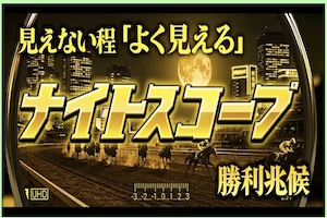 カチトル有料予想プラン11