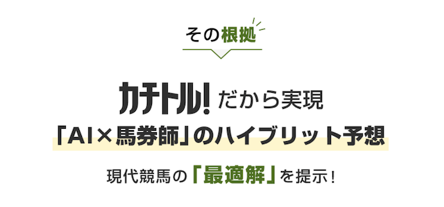 カチトル_サイト特徴画像