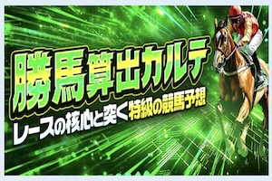 勝馬総合センター有料プラン3