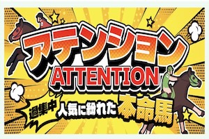 ウマくる有料プラン8