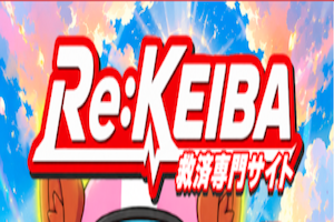 リケイバ300×200画像
