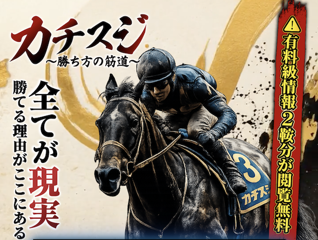 カチスジ ランキングのトップ画像